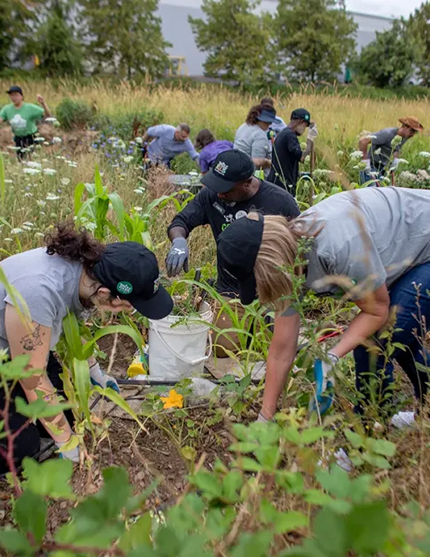 People working in a garden, likely volunteers for Whole Foods Market Foundation.