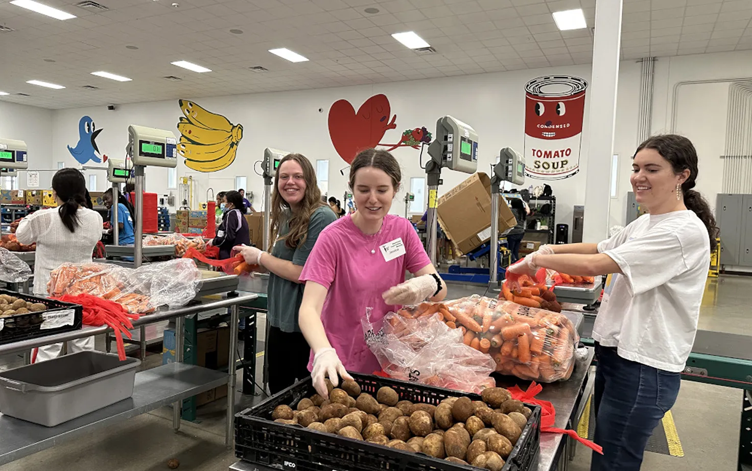 Volunteers packing vegetables in a warehouse setting, a chance to help with food distribution.