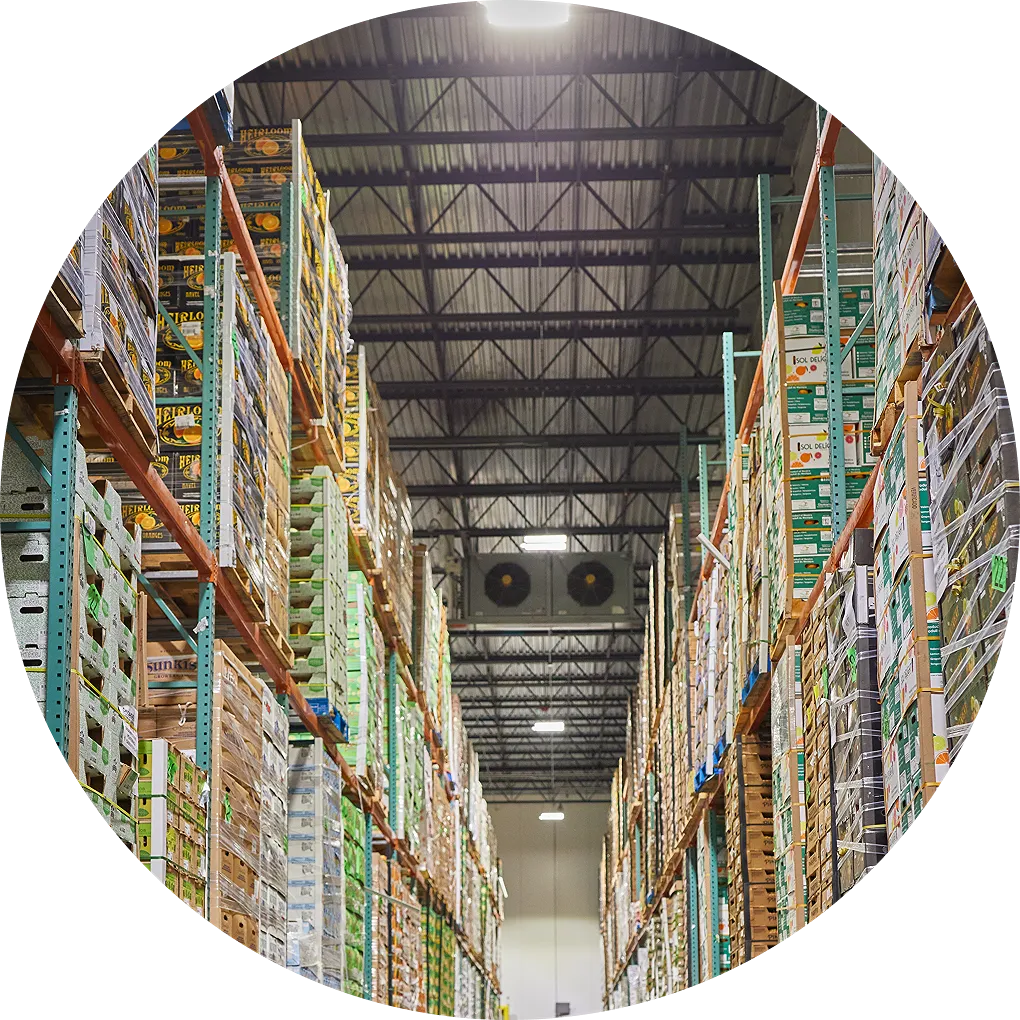 Interior view of a large warehouse with pallets of produce on shelving.