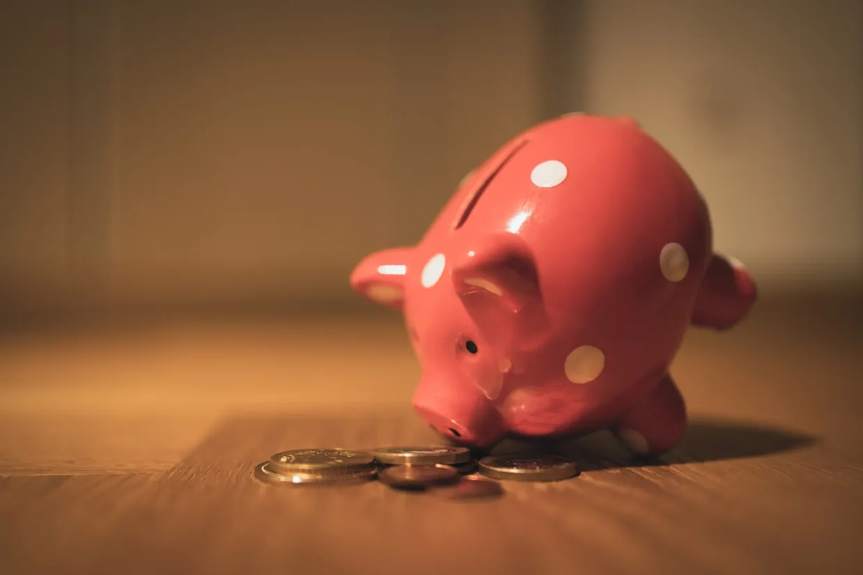 A piggy bank representing financial savings