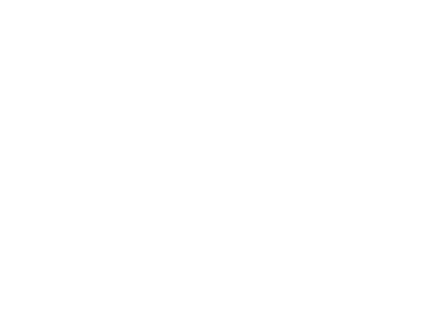 a black and white dog wearing sunglasses