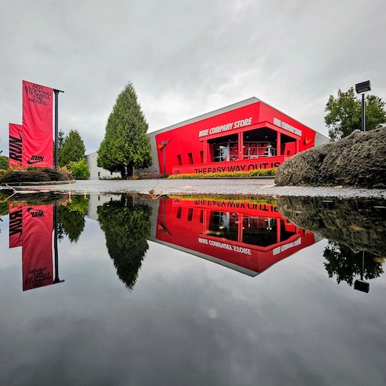 低角度拍攝的紅色建築和高大的常綠樹，完美地倒映在前景地面上的一個大水坑中。