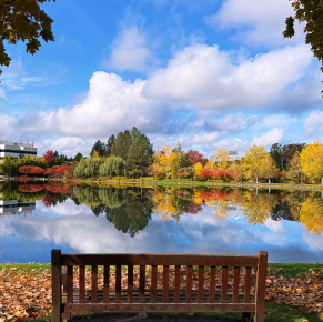 前景中的木製公園長椅面向平靜的湖泊。
