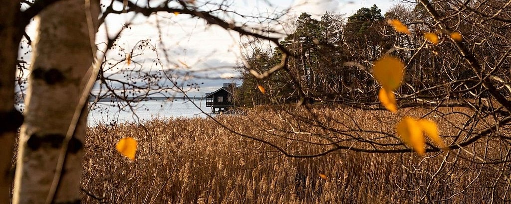 a house on a field, beside a lake in the countryside