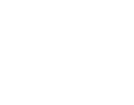 SIE logo
