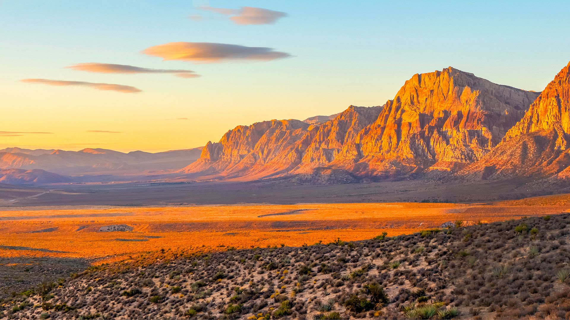 Desert landscape with cacti and mountains under vibrant sunset sky
