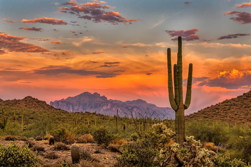 Desert landscape with cacti and mountains under vibrant sunset sky