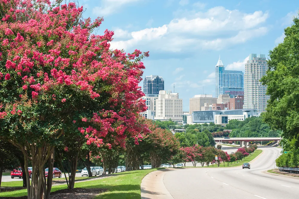 Raleigh city skyline with modern buildings and greenery